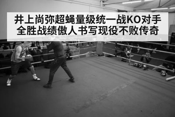 boxer training gym