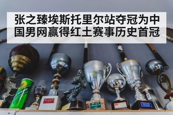 张之臻埃斯托里尔站夺冠为中国男网赢得红土赛事历史首冠